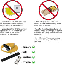 Load image into Gallery viewer, Flip N Slide - Magic Mouse/Rat Trap
