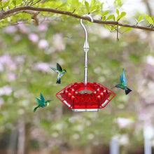 Load image into Gallery viewer, Mary&#39;s Hummingbird Feeder with Perch &amp; Built-in Ant Moat
