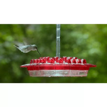 Load image into Gallery viewer, Mary&#39;s Hummingbird Feeder with Perch &amp; Built-in Ant Moat
